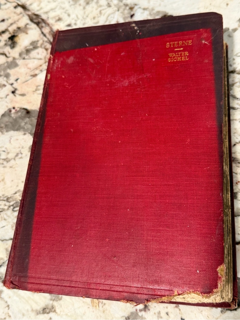 Sterne a Study by Walter Sichel 1910 First Edition Hardcover Journal to Eliza